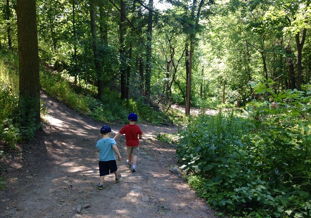 Two young children walk on a ravine path