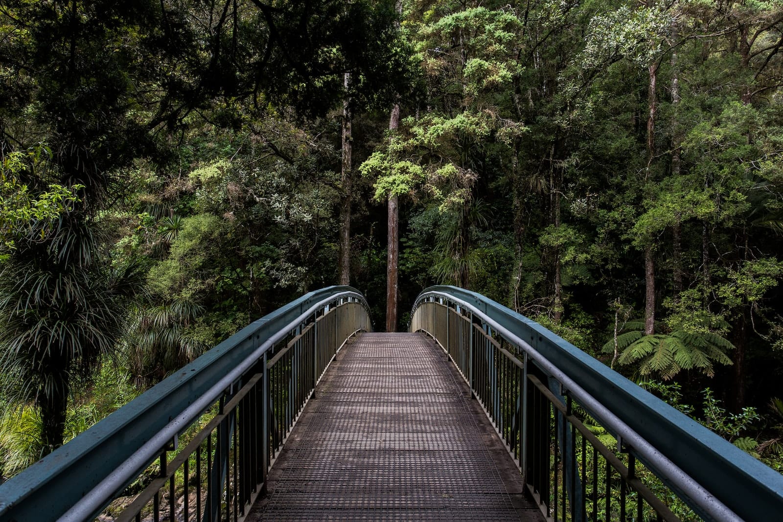 Photo of blue and brown steel bridge moving outwards from the viewer, into a lush forest. Courage & Renewal ® Courage Retreats, Circle of Trust ®, Courage to Teach ® image.